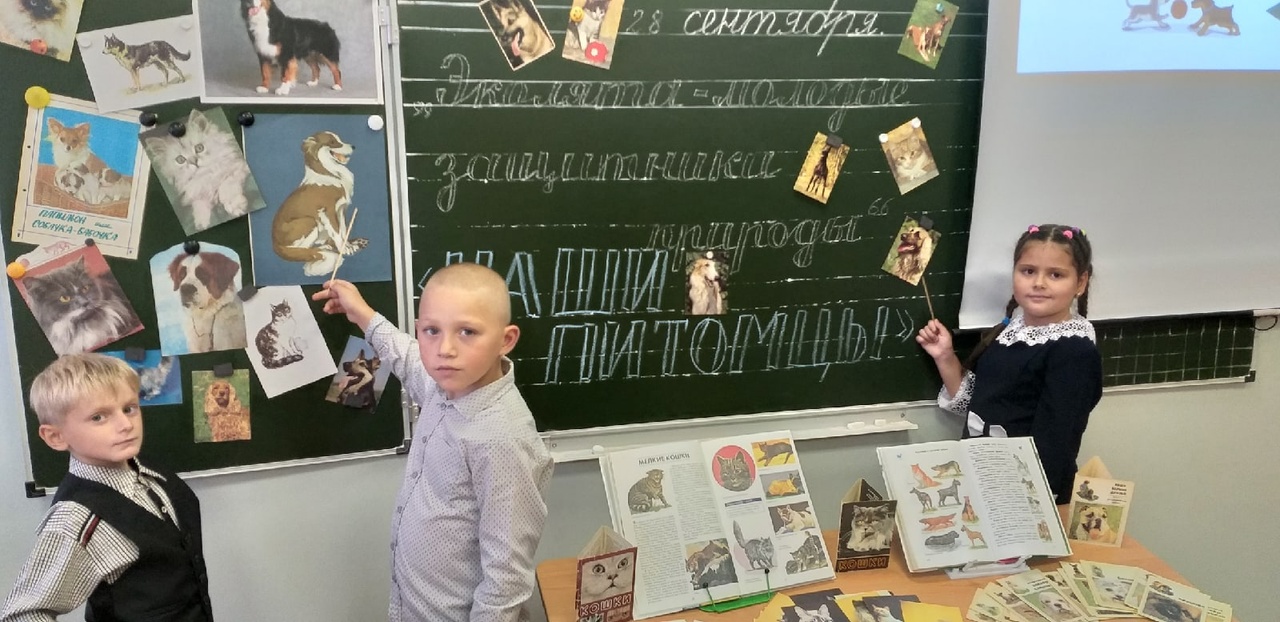 Всероссийский урок «Эколята –молодые защитники природы».